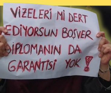 Bebektivite - Hamim Kavukk